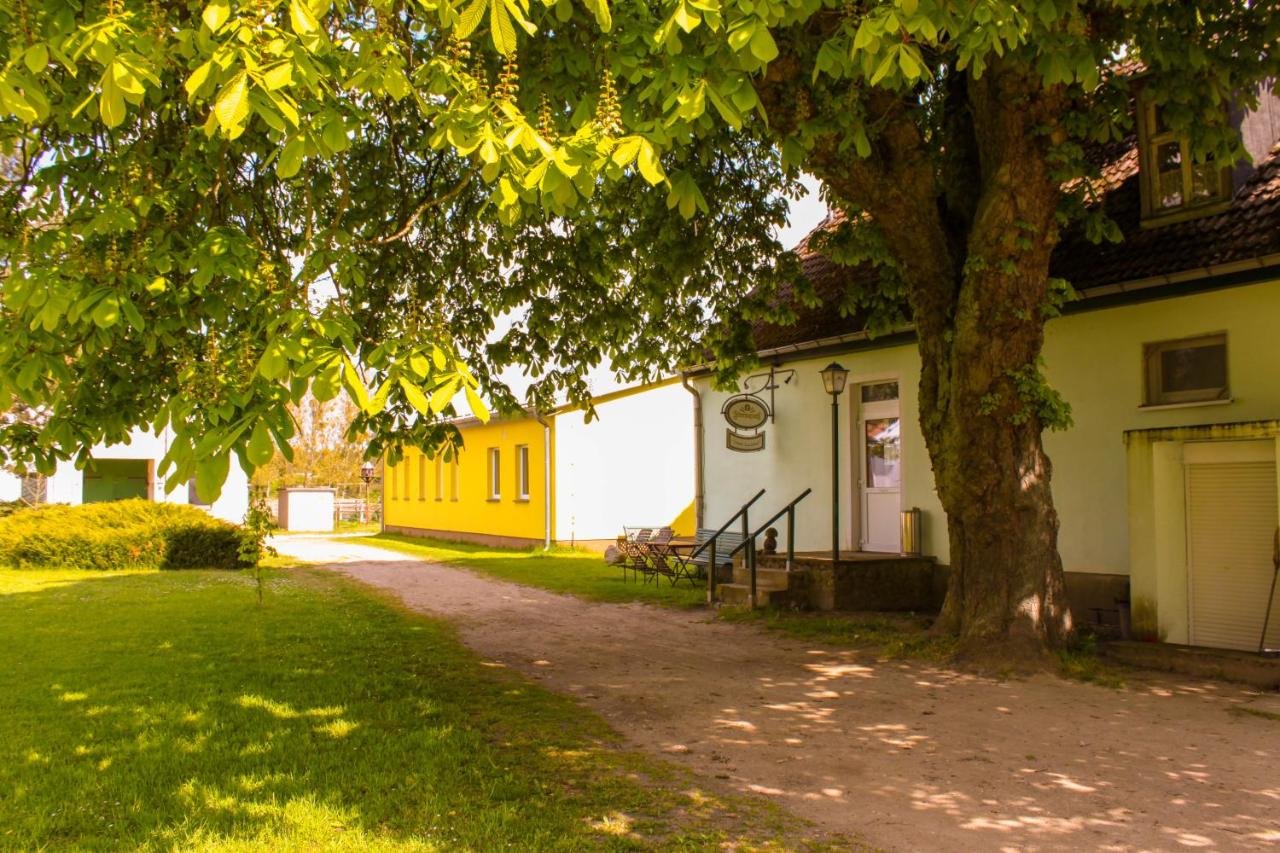 Pension Gestüt Lindenhof 1